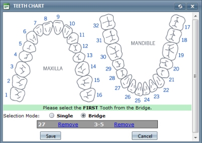 teeth chart